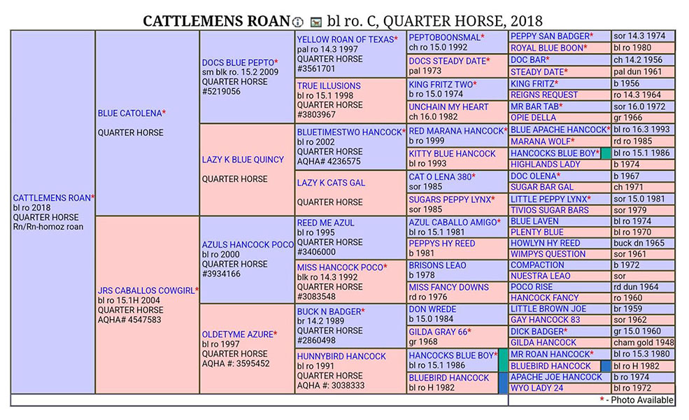 Cattlemens Roan